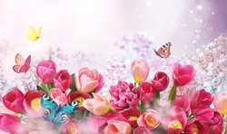 Beautiful delicate floral composition with pink tulips and fluttering butterflies. Greeting holiday card with flowers.