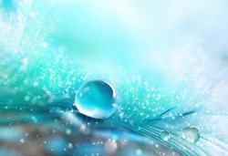 A drop of water dew on a fluffy feather close-up macro with sparkling bokeh on blue blurred background. Abstract romantic delicate magical artistic image for the holiday, cards, christmas, new year