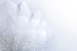 Airy soft Abstract gentle natural background with bird feathers macro with soft focus on light background. Festive background white wing is strewn with sparkling sparkles.