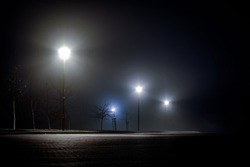 fog at night in the park