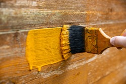 Hand painting old fence with fresh paint, using paint brush. Back garden wooden fence renewal.