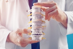The doctor demonstrates the departments of the spine vertebrae, hernia and its injuries in the medical office
