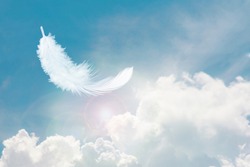 Soft and Light Fluffy White Feather Floating in The Sky with Clouds. Abstract Feather Heavenly Dreamy Fluffy Colorful Sky.