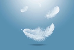 Abstract White Bird Feathers Falling in The Air. Floating Feathers in Heavenly	
