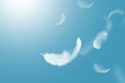 Abstract White Bird Feathers Falling in The Sky. Feathers Floating in Heavenly.	
