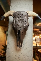 decorative bull skull on the wall. Bull animal skull hanged on wall with copy space. Cow skull on wall. decorative modern skull on concrete wall illuminated with beautiful light.