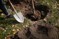 A man plants a tree, hands with a shovel digs the earth, nature, environment and ecology. dug hole