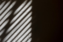 Shade from the blinds on the wall with plaster. Thin lines of light on the wall. The texture of the plaster. Shadow from the blinds. Place for your text.