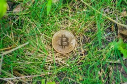 bitcoin on green grass btc ecological sustainability background concept cryptocurrency symbol 