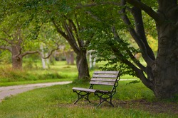 romantic bench in a quiet Park in summer