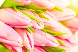 Nice natural bouquet from pink tulips as a romantic background. Selective focus. Pink tulips close up. Pink tulips spring flowers. Mothersday background. Selective focus.