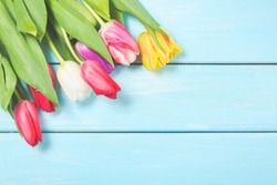 Colorful spring tulip flowers on light blue wooden background as greeting card with free space. Mothersday or spring concept.