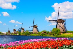 Colorful spring landscape in Netherlands, Europe. Famous windmills in Kinderdijk village with a tulips flowers flowerbed in Holland. Famous tourist attraction in Holland
