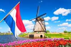 Colorful spring landscape in Netherlands, Europe. Famous windmills in Kinderdijk village with a tulips flowers flowerbed in Holland. Netherlands flag on the foreground