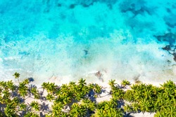 Top aerial drone view of beautiful beach with turquoise sea water and palm trees. Saona island, Dominican republic. Paradise tropical island nature background