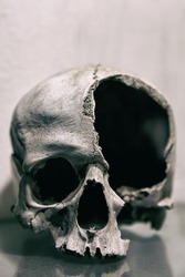 Broken human skull close up. Toned image