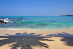 Scenic view of coconut palms and the Idian Ocean from the pristine sandy beach. The sunny beaches of Sri Lanka (such as Hikkaduwa, Mirissa, Unawatuna) are beautiful at any time of the year.
