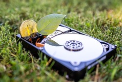 View on a hard disk drive with a bitcoin and a chia leaf representing cryptocurrencies on the grass on a sunny day.