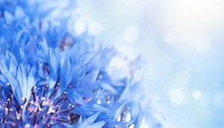 Bouquet of cornflower flowers  with bokeh and copy space,  floral abstract background
