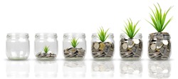 Plants growing on stacks of coins in glass jars isolated on white background. Money, saving, bussiness and investment concept. with clipping paths.