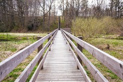 Wooden bridge and stairs in the middle of the forest. Enjoy a walk in nature.