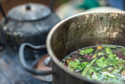 Brewing sacred ayahuasca medicine amazon
