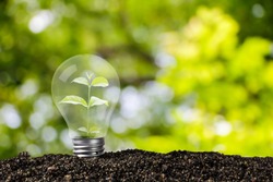 Light bulb glowing in soil , idea or energy and environment concept
