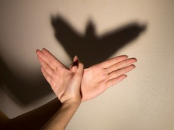 Shadow of the hand and fingers in the form of a bird on the wall