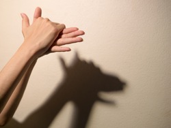 Shadow of the hand and fingers in the form of a dog on the wall