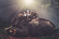 A boy in a school uniform sleeping and reading a book on the back of an elephant at the jungle