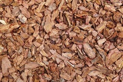 A lot of bark of coniferous trees lies on the ground. The bark is used for mulching and soft base for children's playgrounds.