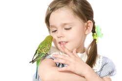 The beautiful little girl holds Parrot and smiles on white background close up isolated