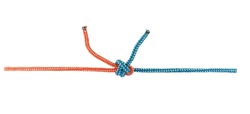 Double Sheet Bend Knot  of orange and blue rope tied on a white background.Clipping phats for use