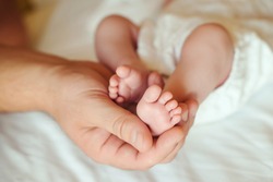 Baby feet in father hands. Happy family concept.