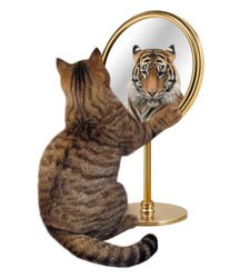 The cat looks at his reflection in a mirror. It sees a tiger there.