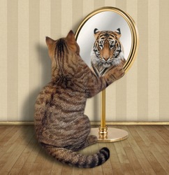 The cat looks at his reflection in the mirror. It sees a tiger there.