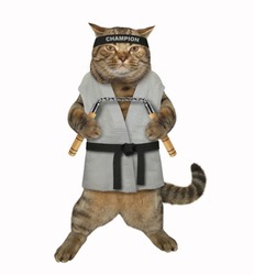 The cat karate fighter in a kimono with a black belt and headband is making exercise with nunchuck. White background. Isolated.