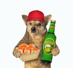 The beige dog in a red cap is holding a bottle of light beer and a paper bag with sushi. White background. Isolated.