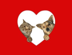 A cat and a dog are looking out through a heart shaped hole in red paper.