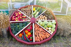 Colorful sellection of fruits apples, berries, nuts and vegetables , cucumber, cabbage, carrots, potatoes, in an old wooden carriage wheel