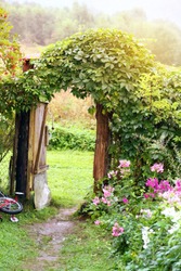 magic  open gate wonderland summer childhood green garden 
