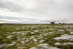 Rocky landscape with Poulnabrone Dolmen in the background