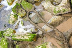 Beautiful wadden sea tidelands coast beach water stones rocks boulders moss and dike landscape panorama of the Harrier Sand island in Schwanewede Osterholz Lower Saxony Germany.