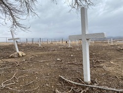 Old cemetery with white crosses as headstones