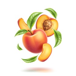 Realistic whole peach, half and slices with leaves in swirl motion. Juicy fruits for natural product vector design. Cut ripe nectarine with stone for healthy organic drink package design.
