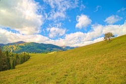 Green high mountains are covered with coniferous trees. Fluffy white clouds hung over the top. Grow green grass, Christmas trees. landscape wallpaper. concept of ecology in nature.