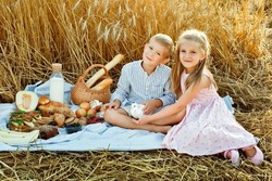 Children sit on a blanket and hold a white pigeon. A cute little boy and a cute little girl in a pink dress are playing outdoors among the wheat. Friends forever. Outdoor games and a picnic.