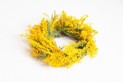 Mimosa wreath on the white background