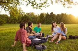 A group of young people students communicate sitting on the grass in a summer park at sunset. Friends relax in their free time.