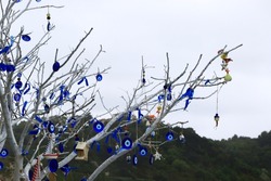 Dried branches of a tree decorated by using traditional evil eye beads that made of glass.